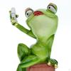 Frog Statue, Fairy Garden Yard Patio Resin Animal Figurine, Desktop and Lawn Decor