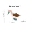 Kiwi Bird Jungle Animals Figures Peacock Phoenix Mallard Turkey Toucan Action Figure Toy Animal Figurines Toys for Kids Gifts