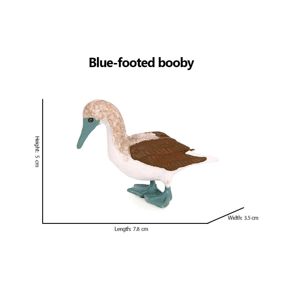 Kiwi Bird Jungle Animals Figures Peacock Phoenix Mallard Turkey Toucan Action Figure Toy Animal Figurines Toys for Kids Gifts