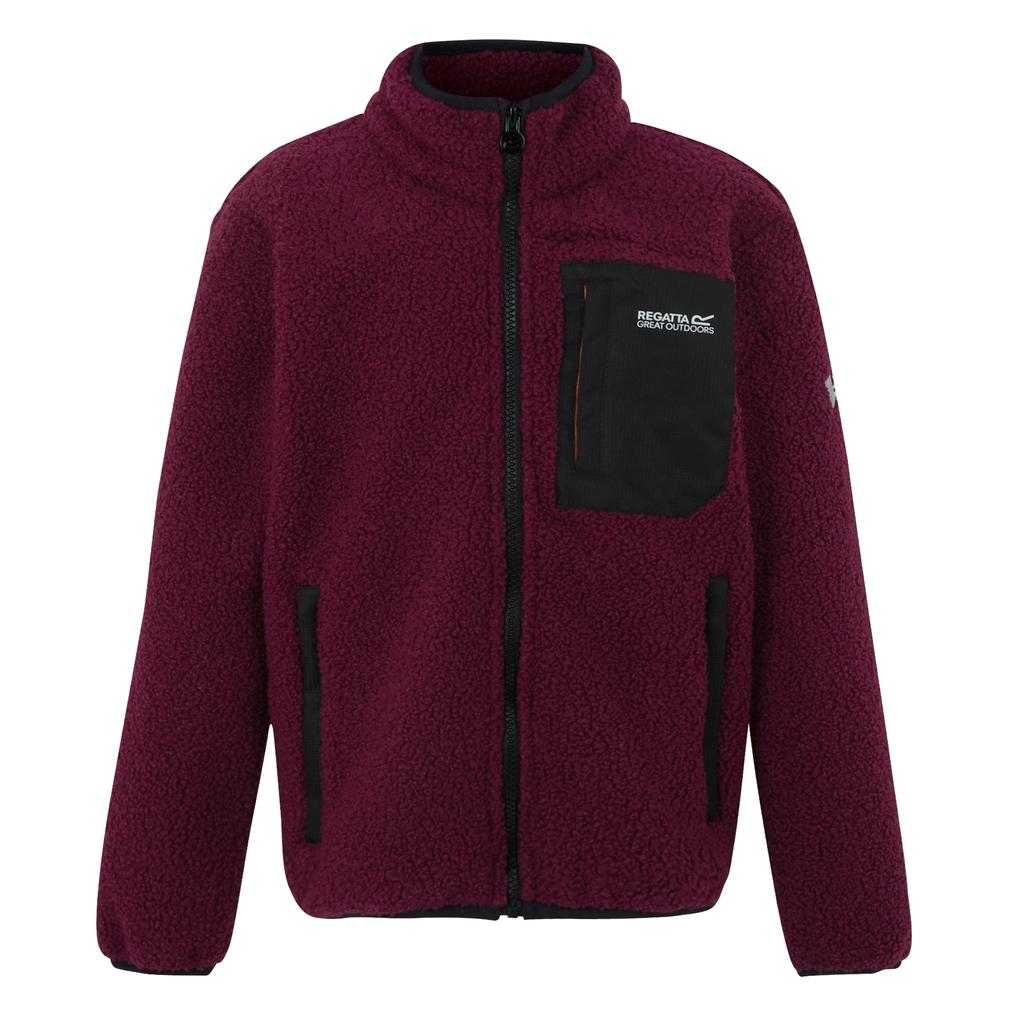 Regatta Childrens/Kids Frankie Full Zip Fleece Jacket