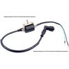 High-Voltage CDI Ignition Coil for 50CC-110CC Off-road ATV/Motorcycle Beach Karting
