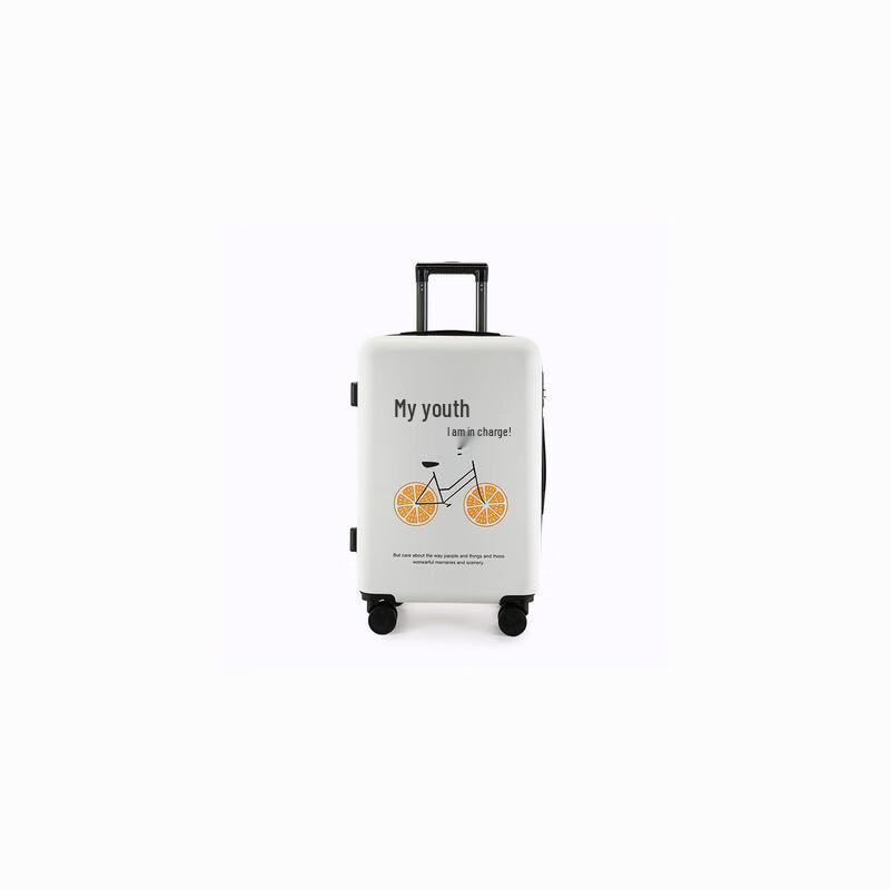 LIDU Rolling Travel Suitcase with Password Lock 22 Inch / 45L