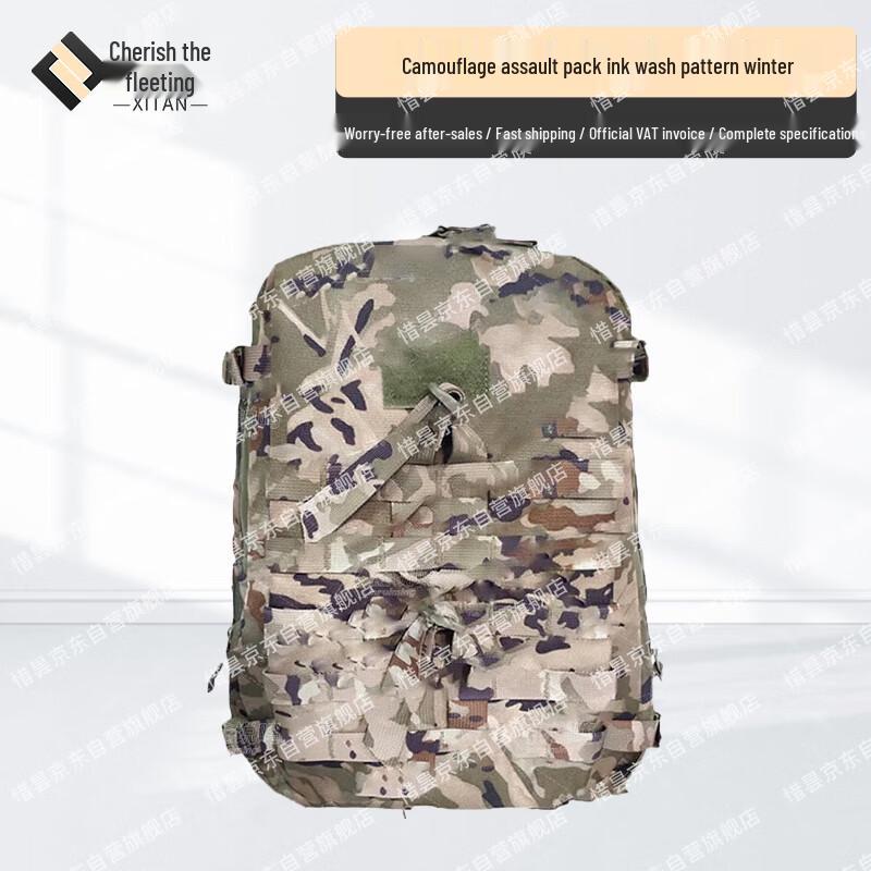 Outdoor Camouflage Tactical Assault Backpack
