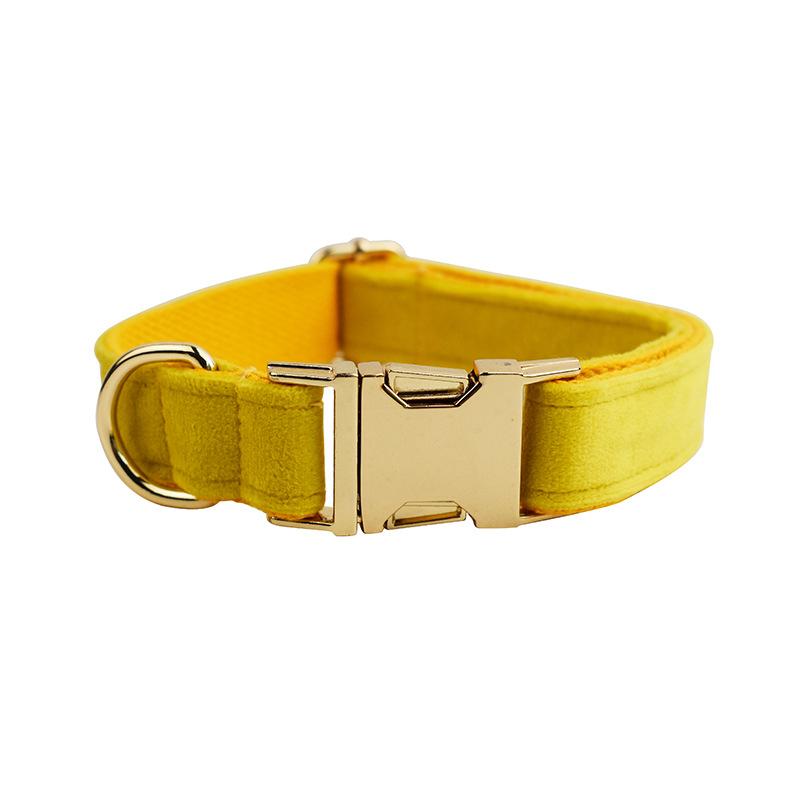 Pet collar, dog leash, dog collar, yellow velvet.