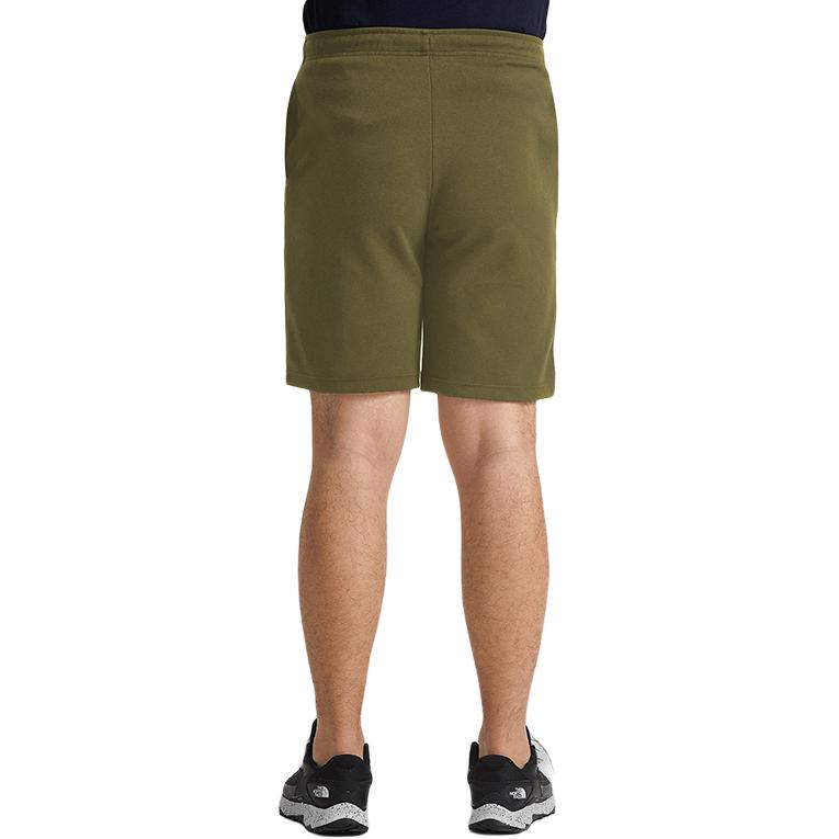 The North Face Casual Shorts Men's Green Moderate NF0A7QUF-7D6