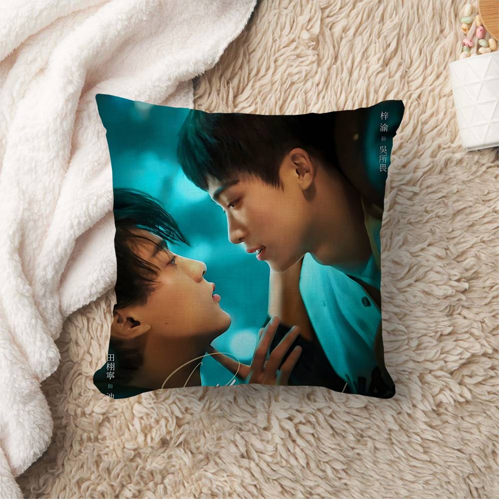 RRevenged Love Movie Cushion Cover Pillow Cover Decor Pillowcase Printed Cushion Case for Couch
