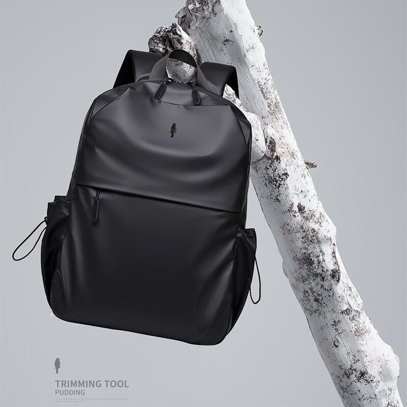 ZMN Woodpecker Kelisai ZRB-2024 Business Laptop Backpack 12 inch