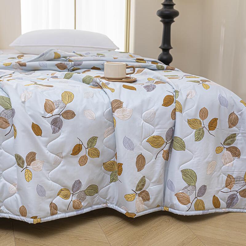 Shanshan Cooling Summer Quilt