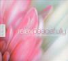 CD DAN GIBSON  Relax Peacefully 37283 Solitudes 2007 Japan Jazz Used
