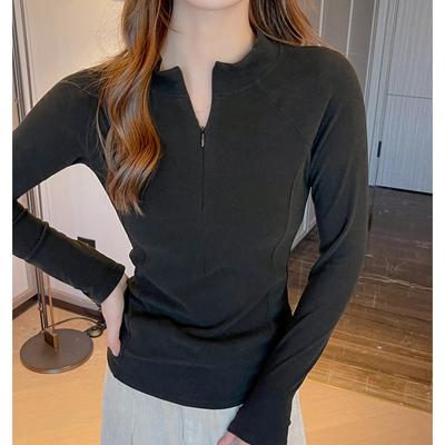 Micromesh Stand Collar Base Layer Top Women's Autumn Winter Thickened Slimming Long Sleeve High-End Feelt T-Shirt