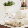 Turtle & Small Reptile Breeding Tank with Sunning Platform - Ecological Desktop Landscaping for Living Room