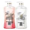 Safeguard Purifying Gel Body Wash (Wang Chuqin Endorsed)