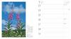 Calendar 2026 FLOWER CALENDAR Flower Calendar (Monthly Diary/Diary/Ring/Flower) (Yamakei Calendar 2026)