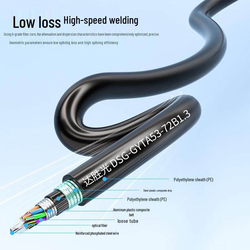 Dasheng Outdoor Armored G.652D Single-Mode 72-Core Fiber Patch Cord