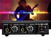 2 Channels Microphone Guitar Recorder Amp Preamp