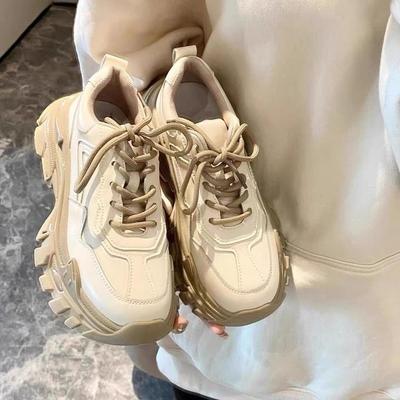 Dad Shoes Ins Trendy Super Popular Women's Shoes Autumn and Winter New Thick Bottom Versatile Niche Casual Sneakers