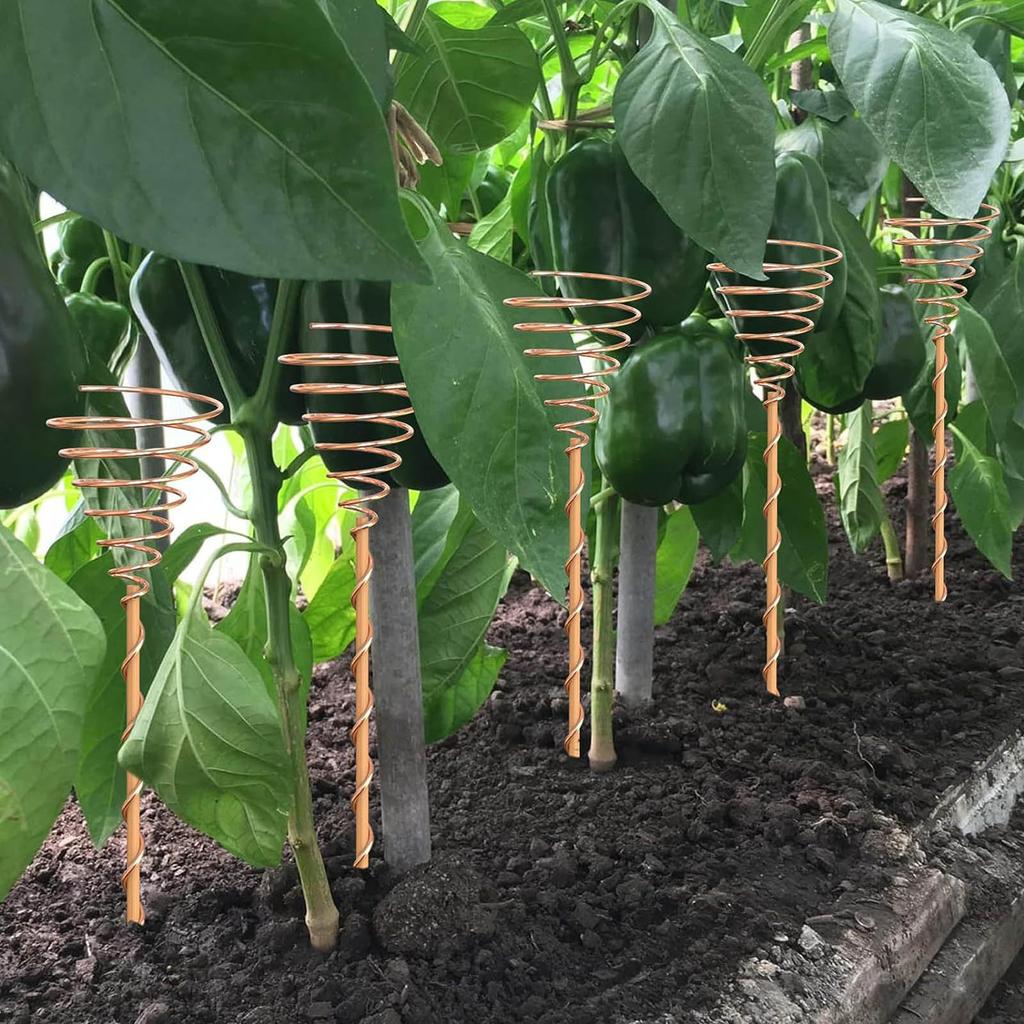 Fibonaccis Coil Winding Jig for Electroculture Gardening Copper Wire Antenna Jig for Gardening Growing Plant Vegetables