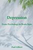 The Depression : From Psychology To Brain State Book