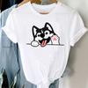 ZX TEE Cute cartoon koala print ladies T-shirt Panda Girl Animal Clothes Panda Cartoon Stylish Tshirt Top Animal Lovers shirt gift