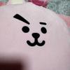 Used BTS BT21 Cushion & Mat