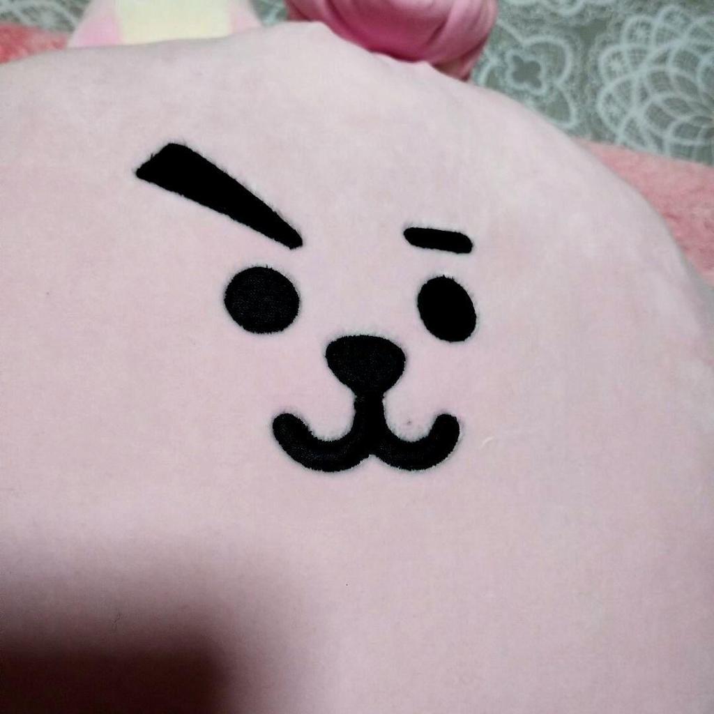 Used BTS BT21 Cushion & Mat