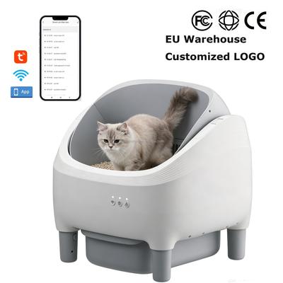 Katzen – Katzenpflege
