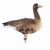 Ganzen lokvogel met paal Realistisch model Handgeschilderd Watervogel lokmiddelen voor jagers, Jacht,