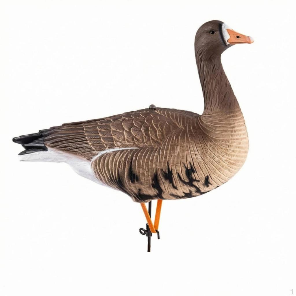 Ganzen lokvogel met paal Realistisch model Handgeschilderd Watervogel lokmiddelen voor jagers, Jacht,