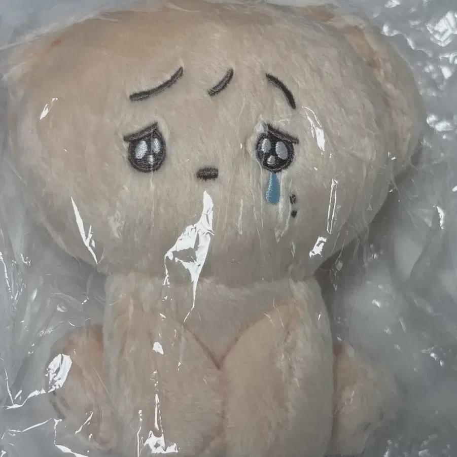 

Seventeen Dk Doll Sealed
