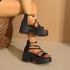 Street Style Summers Women Sandals Fashion Open Toe Ladies Platform Thick Heel Party Dress Sandalias