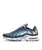 IH4460-400 Nike Air Max Plus Dark Obsidian Blue Chill (Men's)