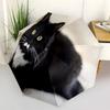 1pc Animals: cats,cows Umbrella Portable Folding Umbrella Iron Frame Hole Bone Structure Outdoor Home Umbrella