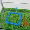 Aquarium Fish Feeding Circle Ring and Feeder Square