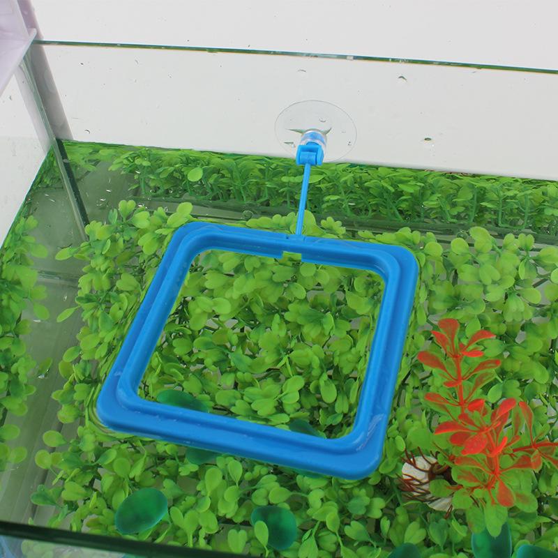 Aquarium Fish Feeding Circle Ring and Feeder Square