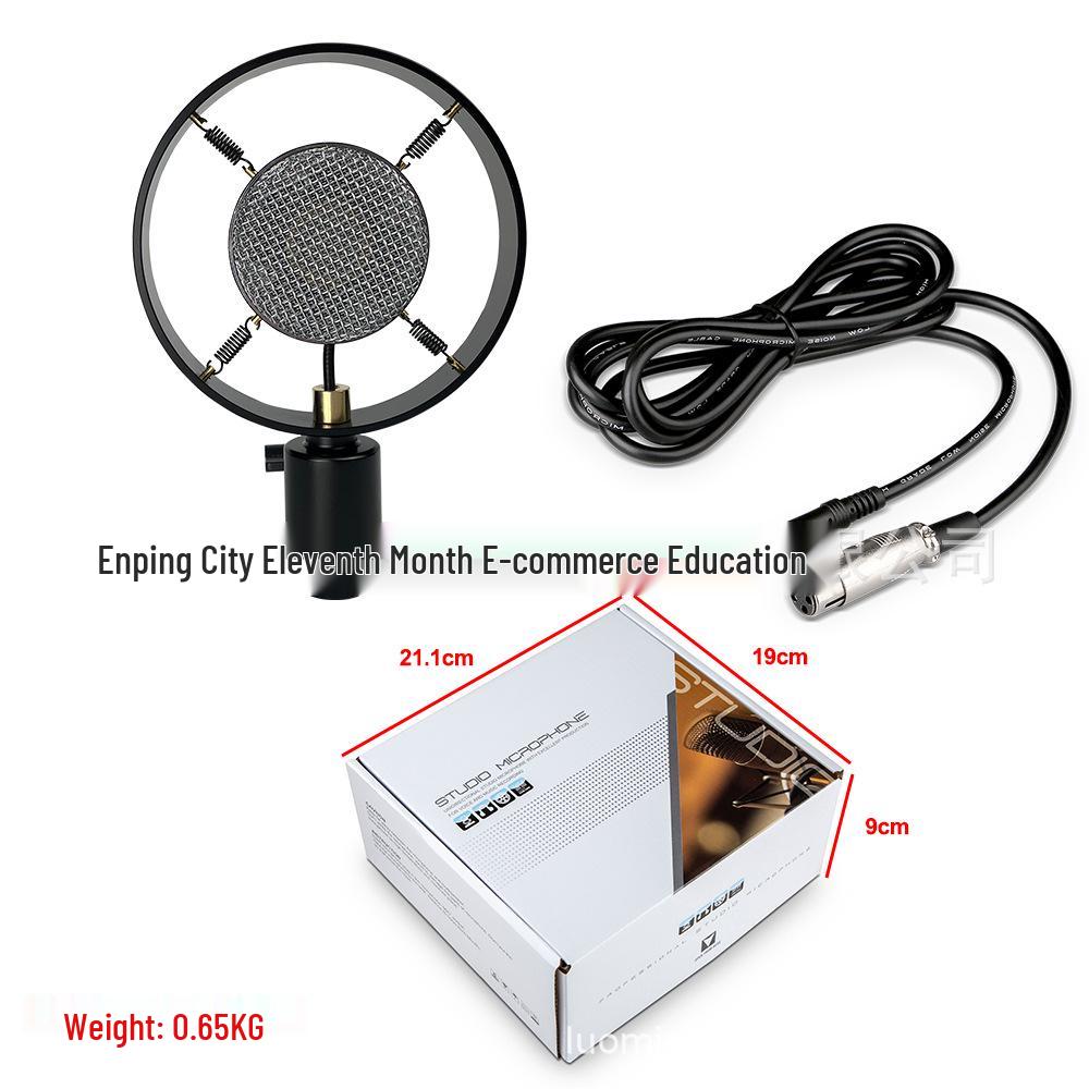 

Retro Condenser Microphone for Recording, Video, Voice Conferences, Teaching, Training, and Storytelling