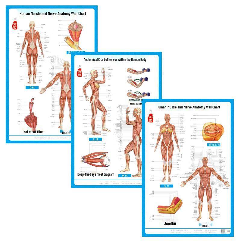 First Aid Emergency Tool Kit