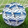 Hertha Bsc Berlin Crest Size 5 Soccer Ball,Indoor/Outdoor Suitable for Training Matches Tournaments Practice Games Perfect Gift for Fan