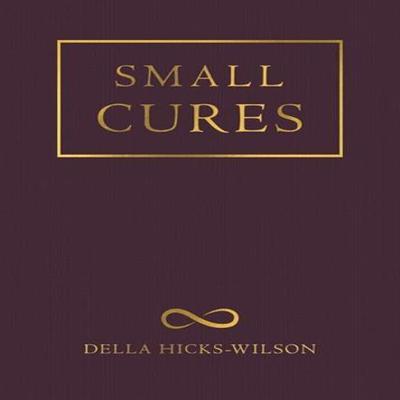 Small Cures by Della HicksWilson Paperback Book 9781524869960
