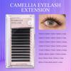 DANIKE Camellia Eyelash Extensions 0.05/0.07mm D Curl 8-15mm Mix 3 Length Gradient Lashes