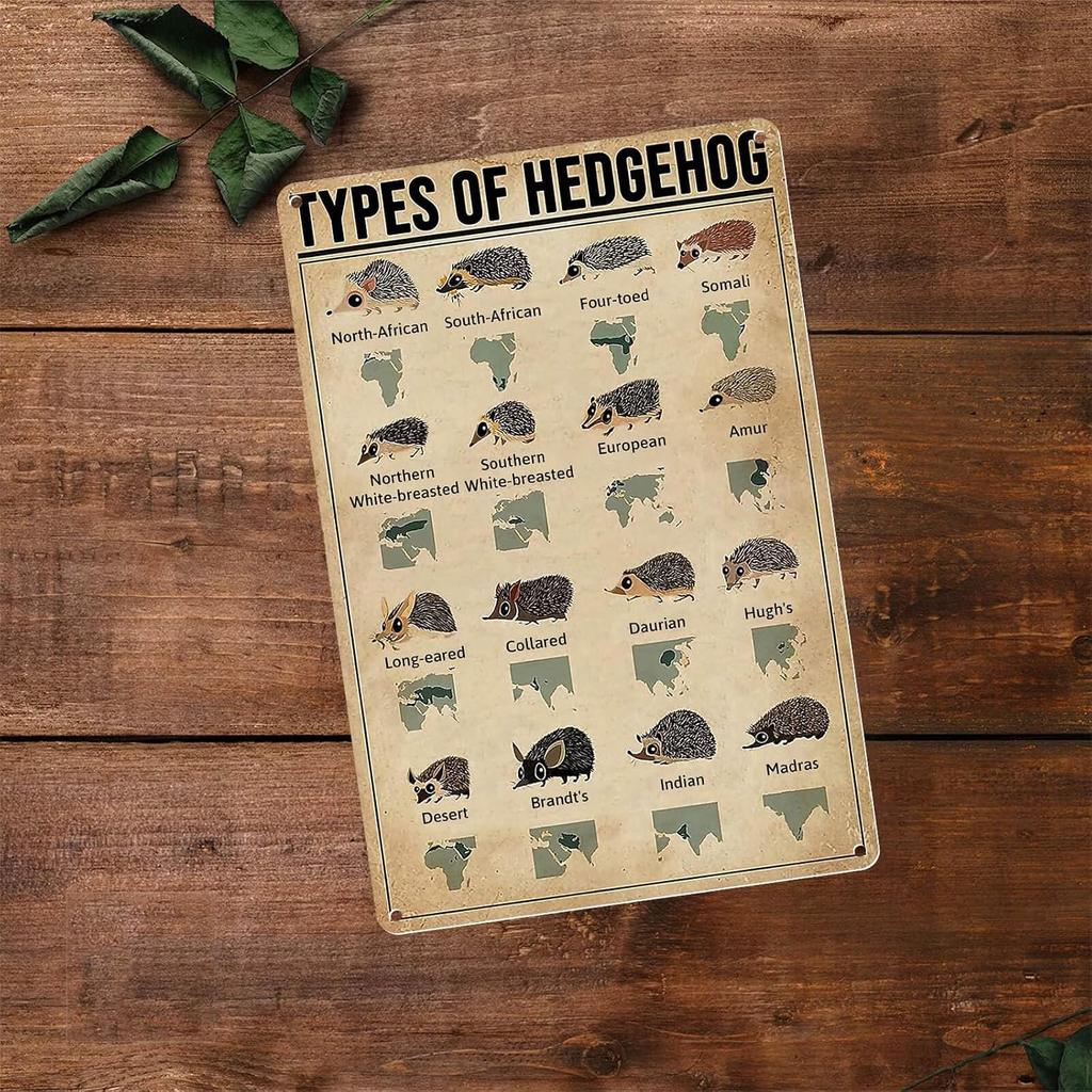 Homely Accents Vintage Farmhouse Decor Metal Signs, Types Of Hedgehog, Educational Art Poster Tin Signs for Bathroom Yard Wall Decor, for Kids