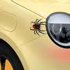 Cartoon Car Decals Spider Car Decal Spider Scary Animal Car Decals Fashionable Auto Stickers For Drivers Driving Enthusiast