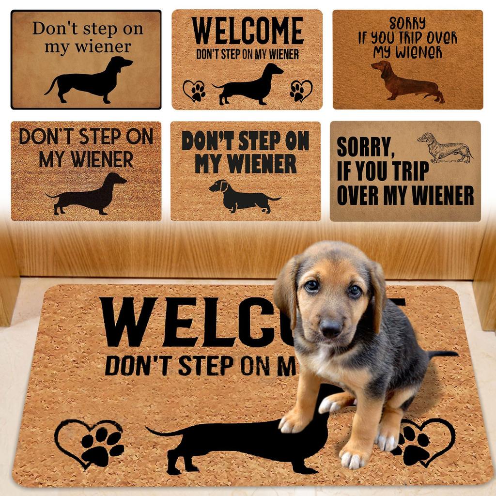 Non- Door Mat, Indoor And Outdoor Carpet, Home Welcome Mat