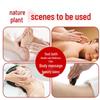 Mugwort Rose 10ml Massage and Spa Essential Oil for Beauty, Sauna, Foot Bath, Gua Sha.