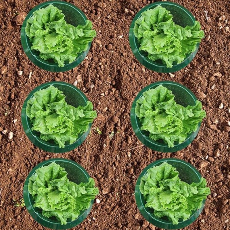 Runda växtskydd Snigelkrage Set om 10 Väderbeständigt Trädgårdsskydd Med Ventilationshål för Växt