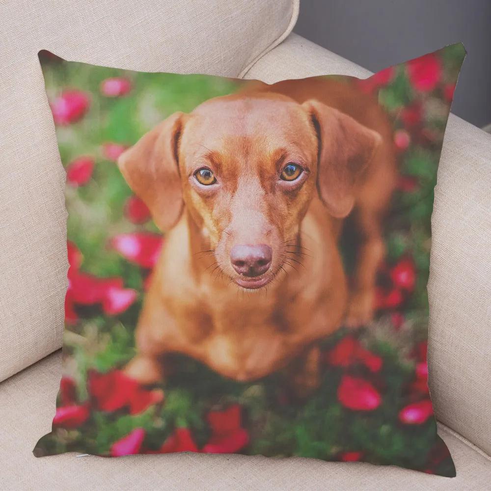 Mini Dackel Hund Kissenbezug Dekor Haustier Tier Kissenbezüge Superweicher Plüsch Kissenbezug für Sofa Zuhause Kinderzimmer 45x45cm