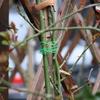 Garden Plants Strapping Iron Wire Garden Plant Tie with Cutter Plant Flower Vine Climbing Support Cable String Garden Wrap Tool