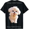 Funny Maltese Dog Lover Cute Photo T Shirts Unisex Women Pure Cotton Humor Streetwear Tee Shirt Short Sleeve Unisex Loose Clothing