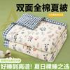 Small Fresh Cotton Summer Cool Quilt