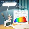 Student LED Desk Lamp: Night Light & Eye Protection – Ideal for Dorms, Bedside, and Gifts