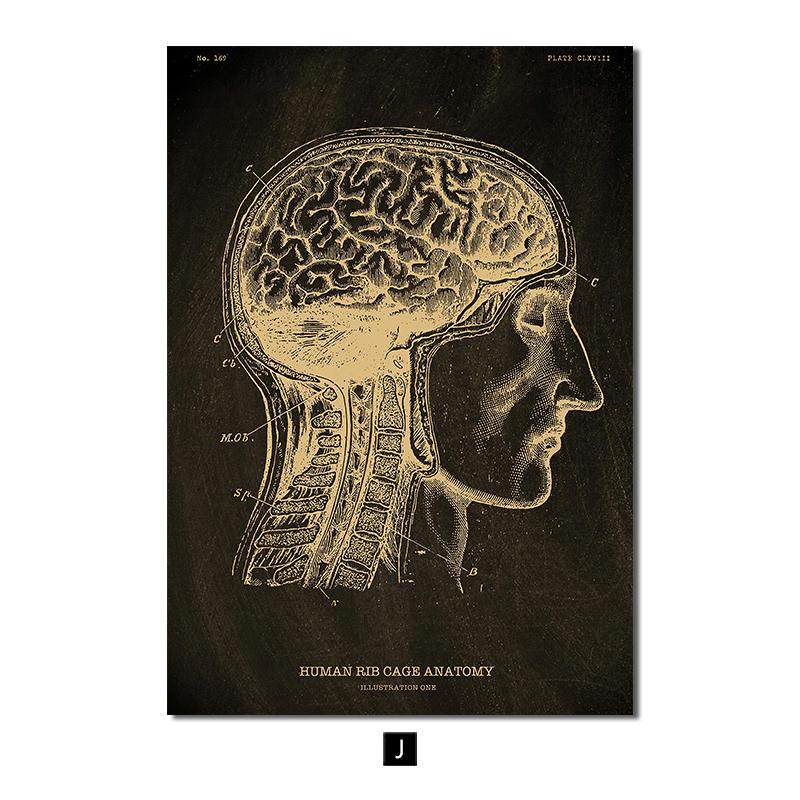 

Анатомия человека, винтажный постер, скандинавский холст, художественный принт, золотой скелет, органы, живопись, настенные панно, медицинский домашний декор 30x40cm No Frame